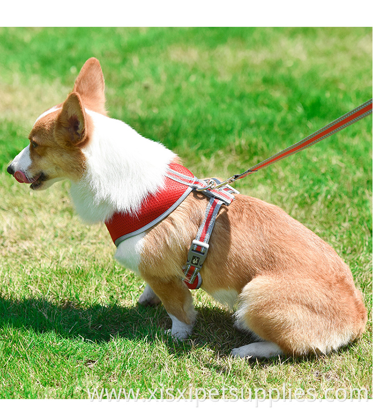 Wholesale OEM Adjustable Dog Harness